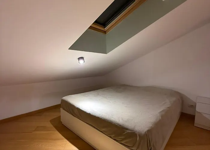 Urban Nest A
